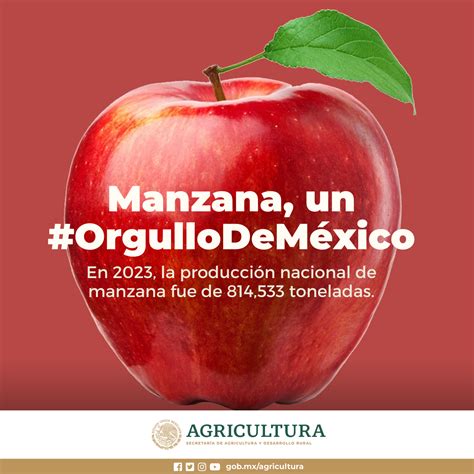 La Manzana Un Fruto Vers Til Y Saludable Que Conquista Los Campos