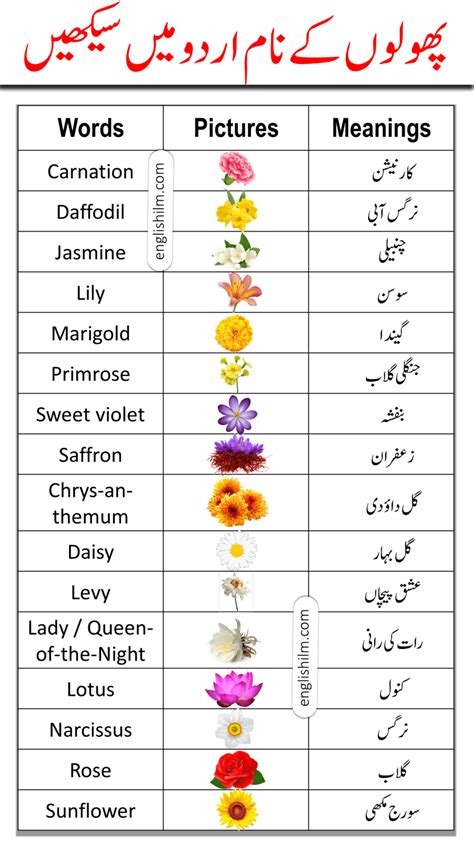 Flowers Name List In English And Urdu Meanings With Pictures Artofit