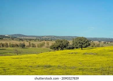 25,164 Alentejo Landscape Images, Stock Photos, 3D objects, & Vectors | Shutterstock