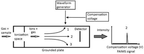 Principle Of Operation Of Drift Tube Ion Mobility Spectrometer Dt Ims Download Scientific