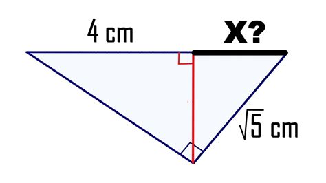 Halla El Valor Del Segmento De La Hipotenusa En El TriÁngulo RectÁngulo