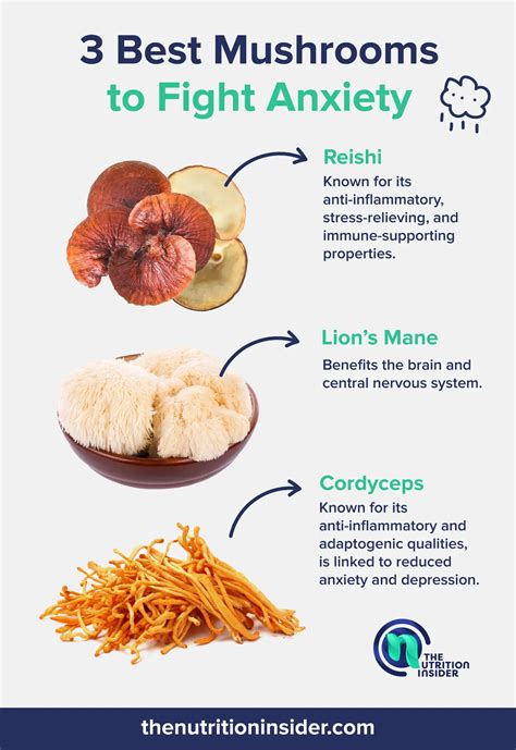 Medical Blogs Explain How Mushrooms For Stress Relief Function - RYZE Superfoods