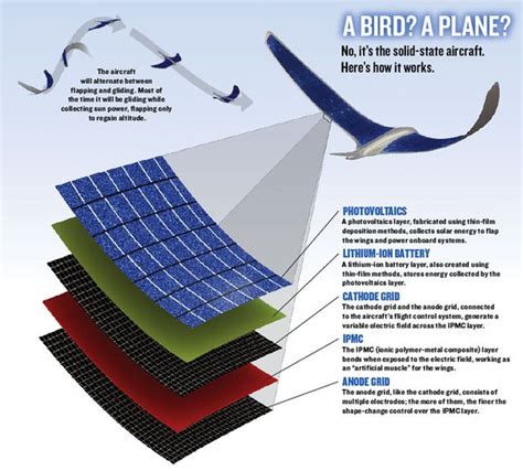 More on Electroactive Polymers - Daedelus' Notebook 
