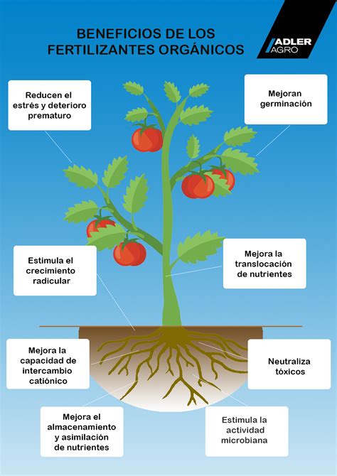 Infografia Fertilizantes Organicos Adler Agro