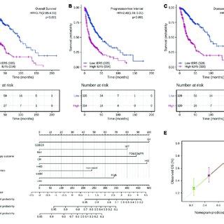 Impact Of Ier Expression On Overall Survival Progression Free