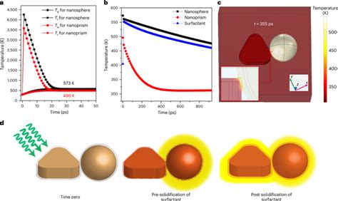 Numerical Simulation Of Thermal Evolution In Heterodimers A