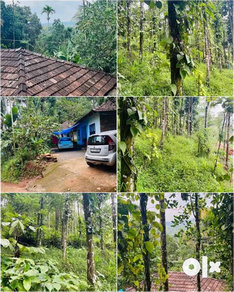 Cent Land With Traditional House Wayanad Lands Plots