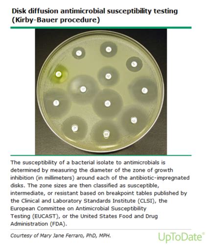 Micro Lecture 5 Antimicrobial Function Flashcards Quizlet