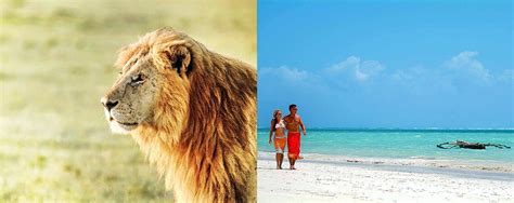 Kenya Bush And Beach Safari Experience With Africanmecca Safaris