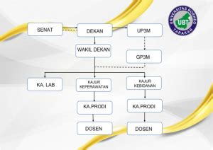 Struktur Organisasi Fakultas Ilmu Kesehatan