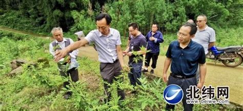 天全縣開展藤椒種植現場培訓 每日頭條