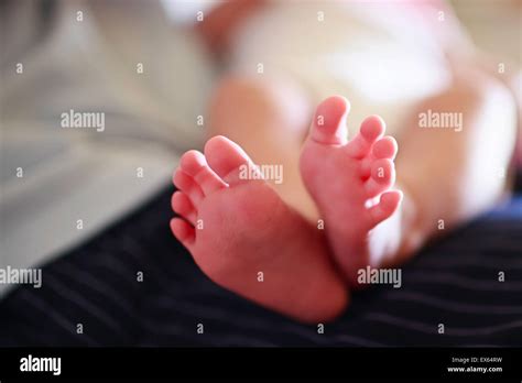 I Piedi Del Bambino Da Vicino Immagini E Fotografie Stock Ad Alta