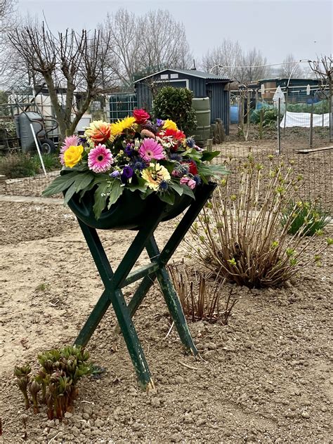 Bij Ons Op De Tuin Volkstuinvereniging Boschpoort