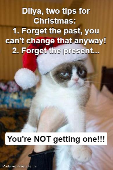 Grumpy Cat Christmas Memes - Piñata Farms - The best meme generator and meme maker for video ...