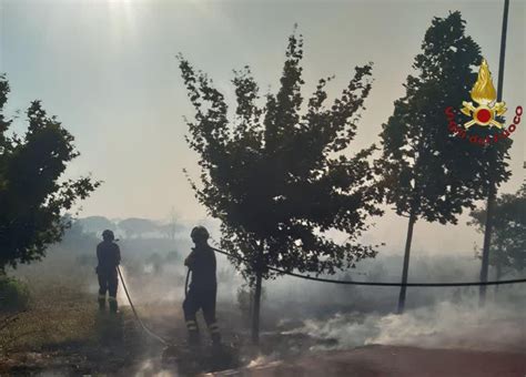 Vasto Incendio A Castel Romano Bruciano Ettari Di Vegetazione All