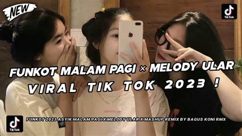 Dj Funkot Asyik Malam Pagi X Melody Ular X Mashup Viral Tiktok Youtube