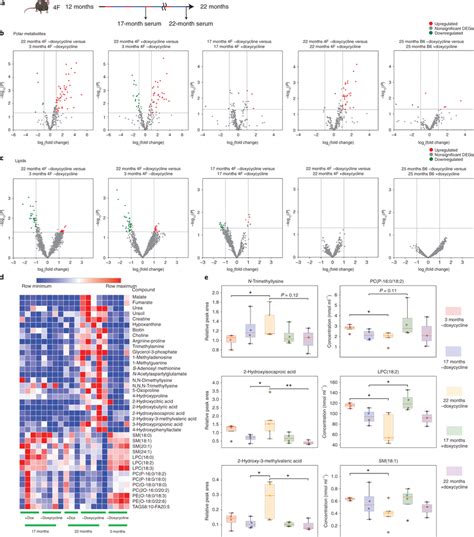 Restoration Of Metabolomic And Lipidomic Profile In The Serum Following