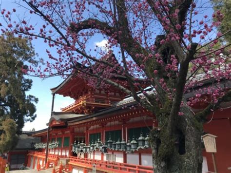 Kasuga Taisha Shrine: a World Heritage Shinto Shrine in Nara - Japan ...