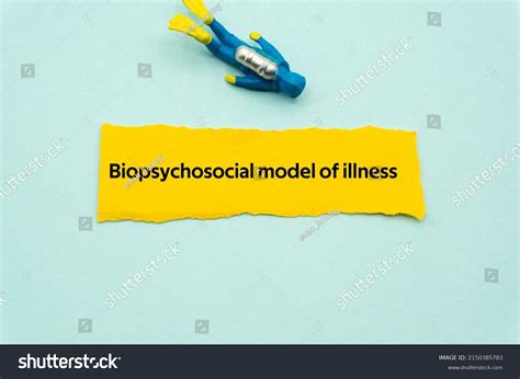 Biopsychosocial Over Royalty Free Licensable Stock Photos Shutterstock