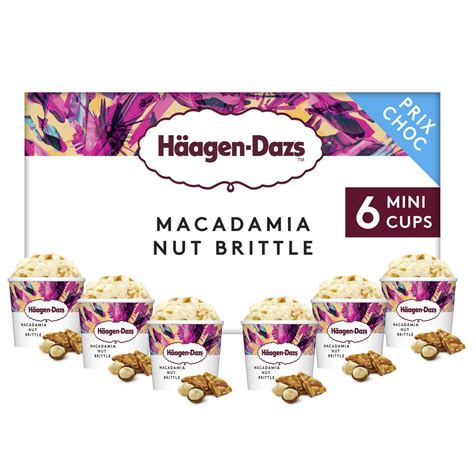 Haagen Dazs Mini Pot Crème Glacée Macadamia Nut Brittle 6 Pièces 480g