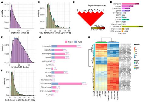 Ijms Free Full Text Genome Wide Dna Methylation And Transcriptome