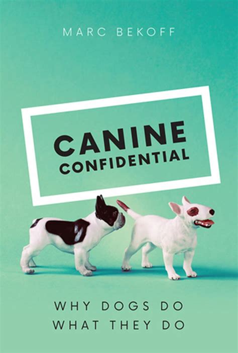 Canine Body Language Book 2