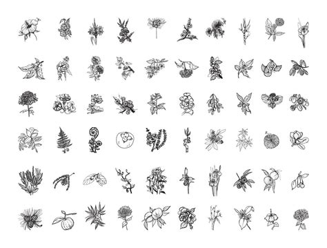 Japanese Plants Illustrations in Art Ink Style 10561087 Vector Art at ...