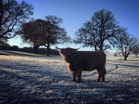 In Memory of Frederick Edwin Eddie Thompson 4