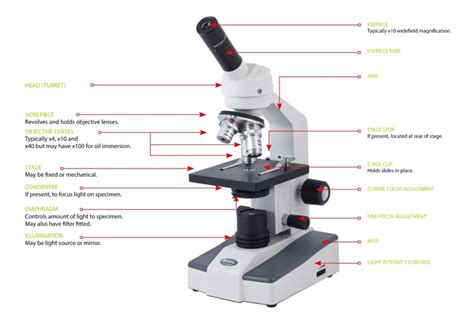 Uncover the Secrets of Chemistry: What is a Microscope Used For in ...