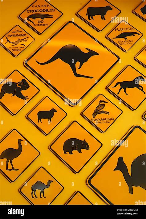 In-Camera Illustration of Australian Animal Road Signs Stock Photo - Alamy