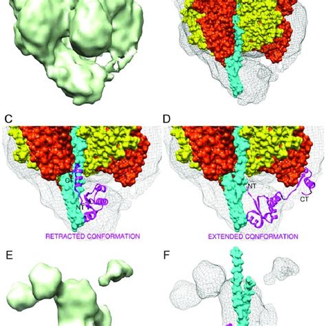 The V 1 Atpase A 3 B 3 Df And Df Sub Complexes A The 14 A