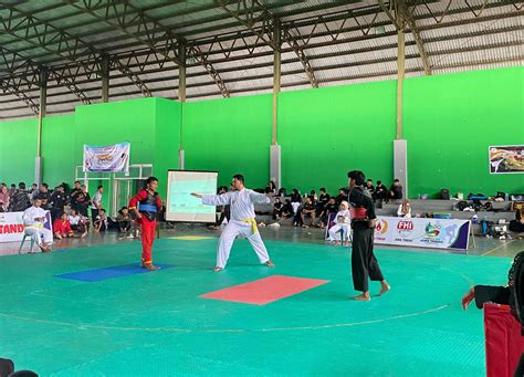 Kantongi Juara Umum Tapak Suci Kudus Sabet 24 Medali Emas POPDA Pencak