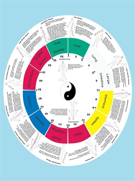 (PDF) Meridian Time Clock Diagrams - DOKUMEN.TIPS