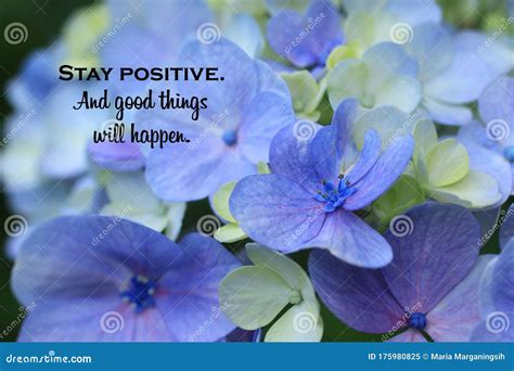 Inspirational Quote Stay Positive And Good Things Will Happen On