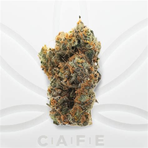 Sonic Strawberry Strain | CAFE