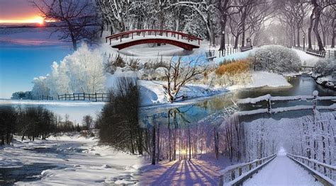 Winter Wonderland Stunning Snow Fall Winter Places Bonito Trees