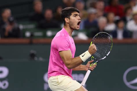 French Open Draw Novak Djokovic And Carlos Alcaraz On Semi Final