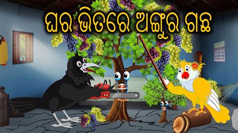 Ghara Vitare Anguragacha Odia Cartoon Odia Birds Stories Odia