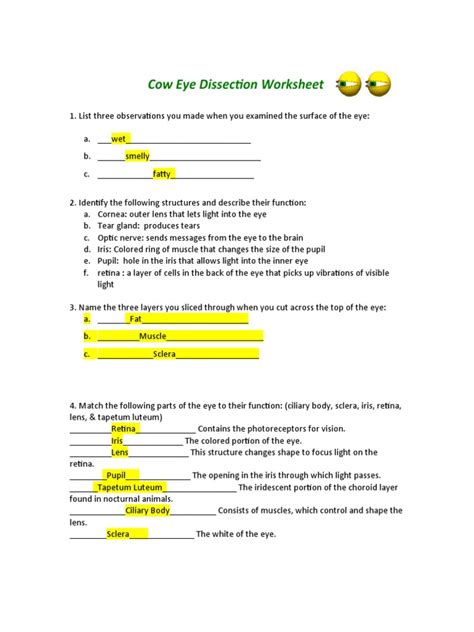 Sheep Eye Dissection Lab By Ginger Snaps TPT Worksheets Library