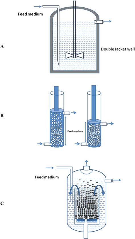 Bioreactor Designs Continuous Stirred Tank Reactor A Expanded Bed