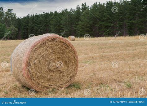 Hay Bale on Brown Grass Ground in Adelaide, Australia Stock Image ...