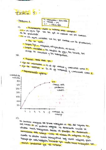 Problemas Tema Resueltos Pdf