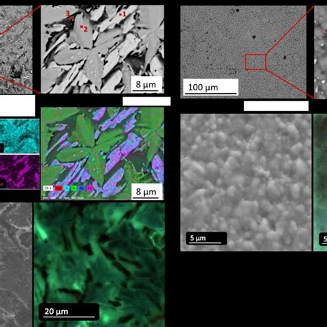 A Sem Image Of The L 1eu 0 5dy Glass Ceramic Surface And B Elemental Download Scientific