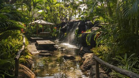 Hualalai Photos & Videos | Luxury Resort | Four Seasons Hualalai