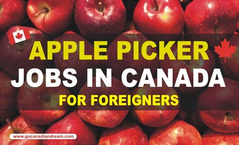 APPLE PICKER JOBS IN CANADA FOR FOREIGNERS IN 2024 With Work Visa