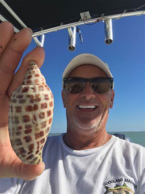 Everything to Know About the Junonia Shell » Sand Dollar Shelling