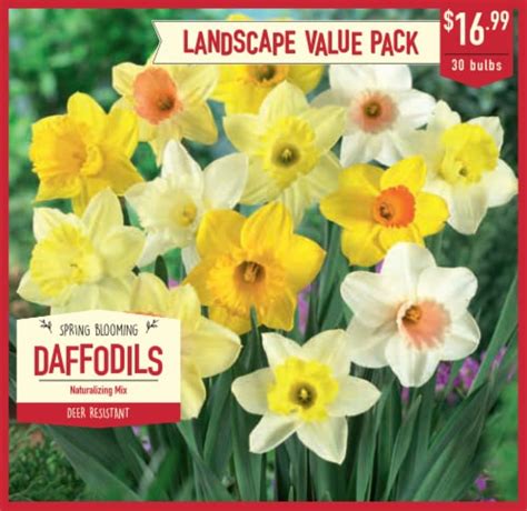 Garden State Bulb Daffodil Naturalizing Mixed Bulbs Ct Fred Meyer