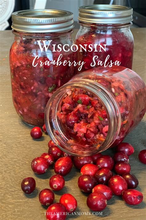 Wisconsin Cranberry Salsa | THE AMERICAN MOMS