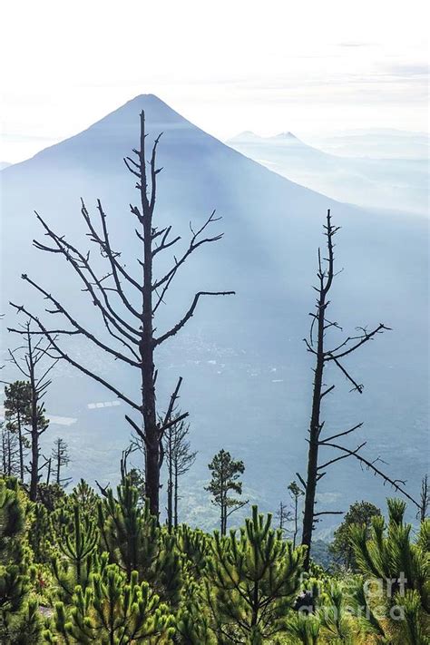 Volcan De Agua by Peter J. Raymond/science Photo Library