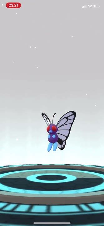 Evolve Metapod To Butterfree Pokemon Pokemongo Evolution Metapod